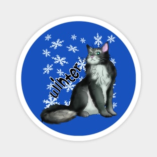 Black and white cat for Winter Magnet